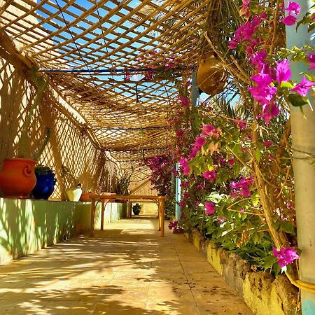Hotel Dar Tata Adrouine Exteriér fotografie